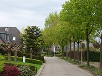 Steve Bikostraat