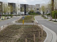 Koningskaars über Hoogveldlaan