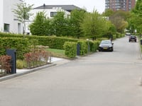 Koningskaars über Hoogveldlaan