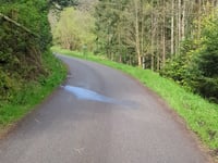 Col de Freland von Beblenheim