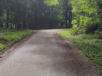 Col de Freland von Beblenheim