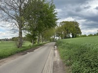 Leemberg przez Koeleweg