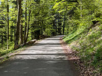 Col Amic da Soultz-Haut-Rhin