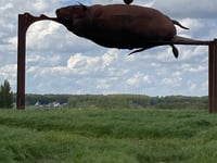 Congoberg