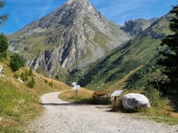 Vallon de l'Orgère da Freney