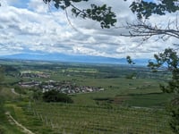 Mondhalde depuis Oberrotweil