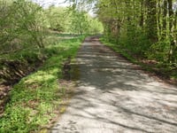 Buchgasse von Paustenbach