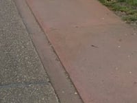 Engelenberg von Messelbroek