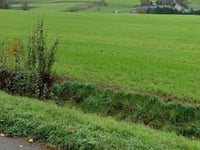 Slangenpoelweg da Bertem