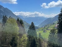 Lombachalp von Interlaken