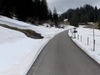 Lombachalp von Interlaken