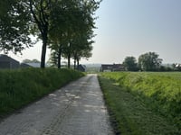 Vierwindenlaan