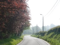 Bois-la-Dame über Rue Léon Crosset