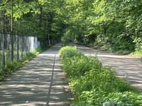 Schapendreef z Ossendrecht