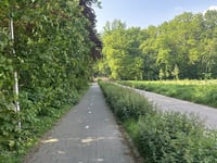 Schapendreef z Ossendrecht