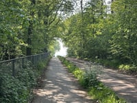 Schapendreef z Ossendrecht