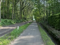 Trambaan von Calfven