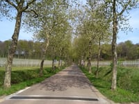 Kasteeldreef von Vlierbeek