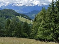Bearegard von Aime über Plagne Montalbert