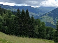 Le Clou z Beaufort