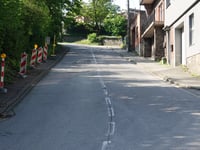 Gris Chevris von Verviers