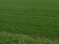 Schoonderbuken przez Oude Tiensebaan