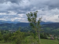 Col du Wettstein von Soultzeren