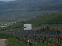 Col de Neuland z Westhalten