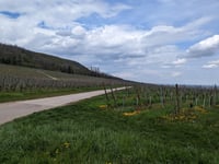 Col de Neuland von Westhalten