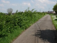 La Haute Saurée von Dison