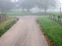 Kogelherrenstrasse über Im Luxgraben