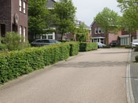 Pannisserweide via Oude Molsbergerweg