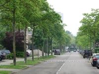 Vrusschemigerweg
