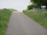 Bosveldweg