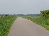Bosveldweg