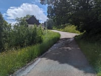 Le Tanet da Soultzeren via Chemin du Mageisberg