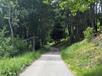 Le Tanet da Soultzeren via Chemin du Mageisberg