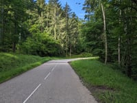Col de Firstplan from Wihr au Val