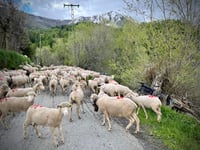 Les Gendres von Crots