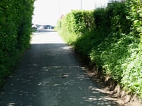 Rue du Coloster da Chaineux