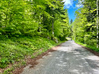 Col de l'Echarasson von Saint Jean en Royans
