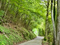Col du Mont Noir