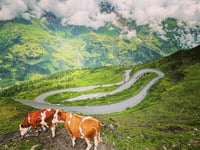 Grossglockner Pass / Edelweissspitze