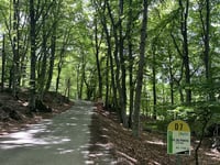 Col de Pontis da Savines-le-Lac