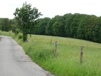 Chemin du Haras