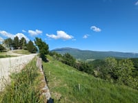 Afrići von Boljunsko Polje