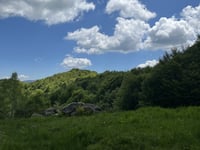 Colle della Dieta desde Mezzenile