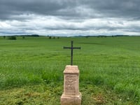 Bettenfeld von Manderscheid