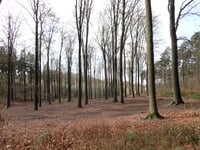 Bois l'Abbé von Limal