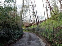 Bois l'Abbé von Limal